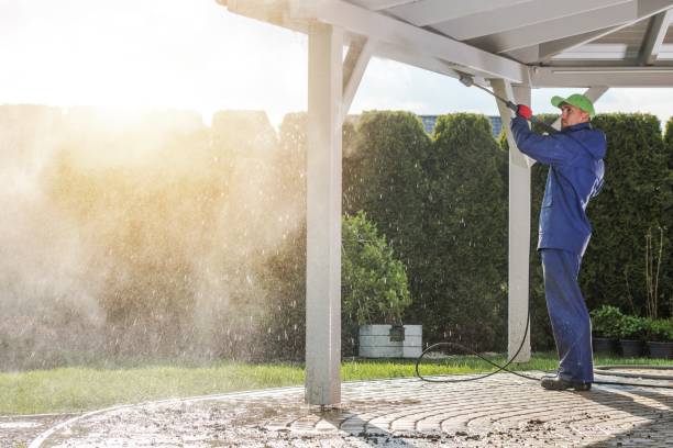 Best Solar Panel Cleaning  in Chenoa, IL